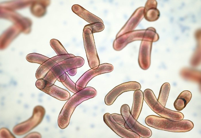 water bacteria