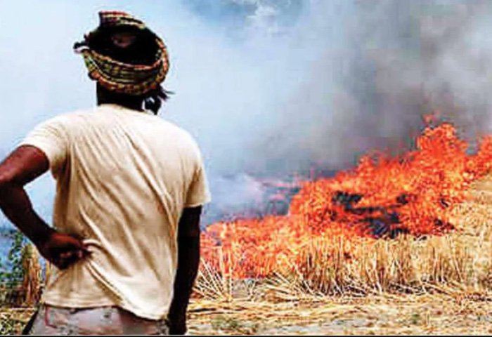stubble burning