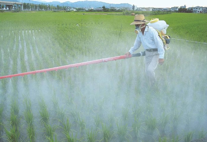 insecticides