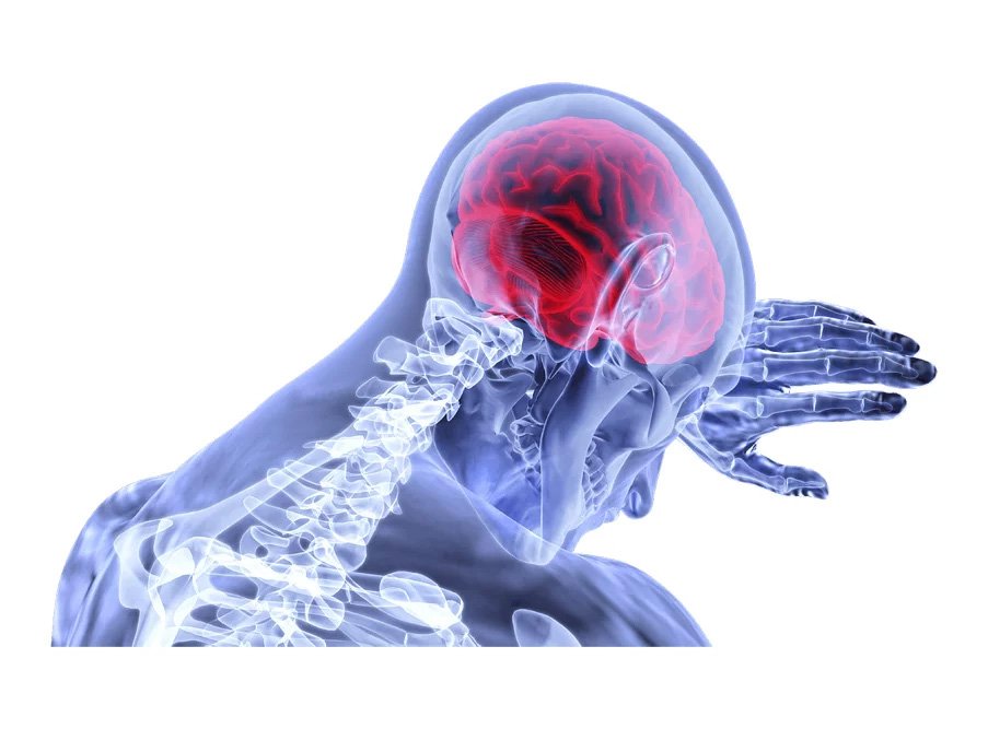 neuro